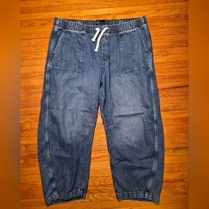 Gap Pull On Barrel Jean Size XXL Medium Wash